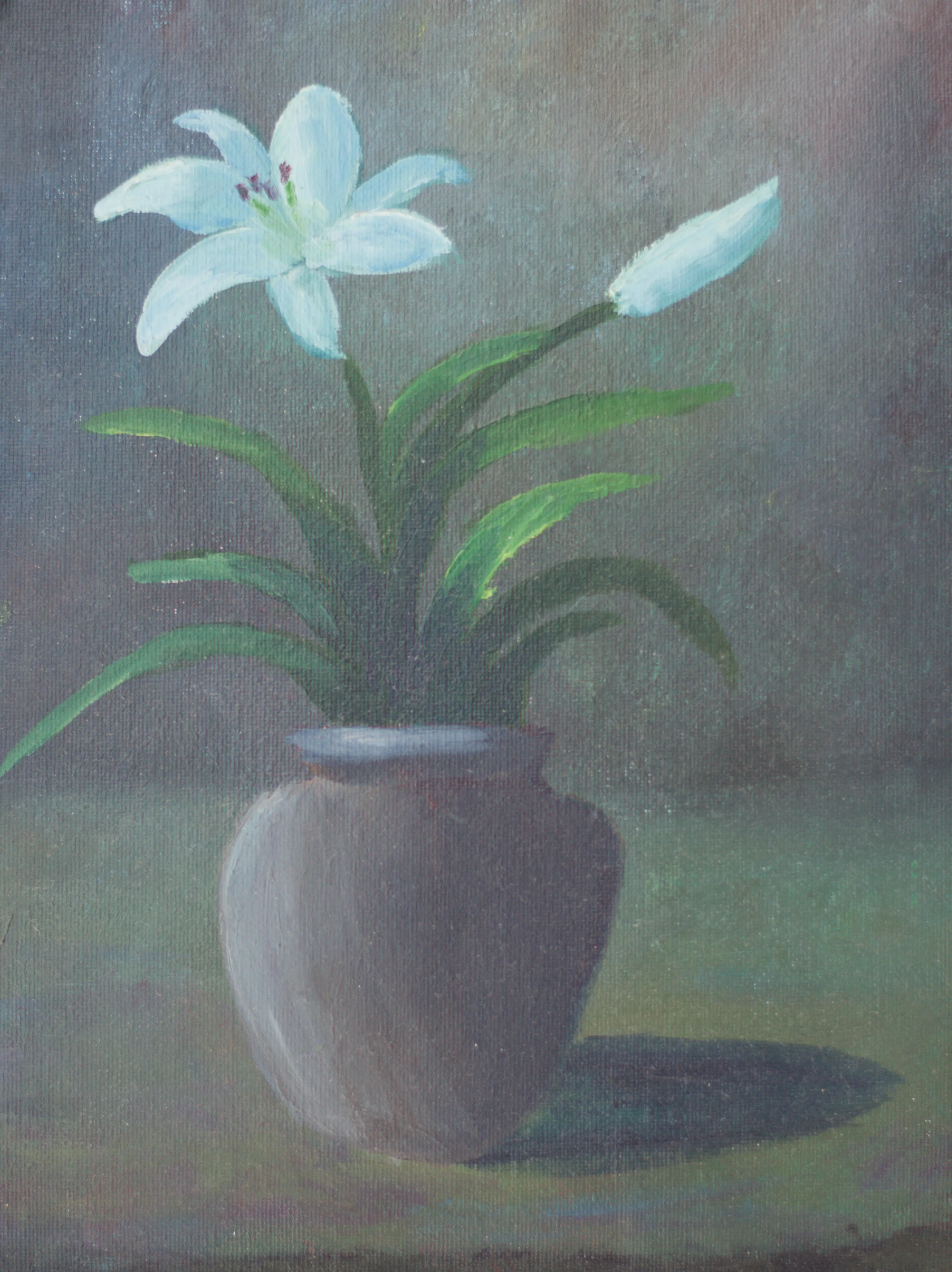 White Lilly