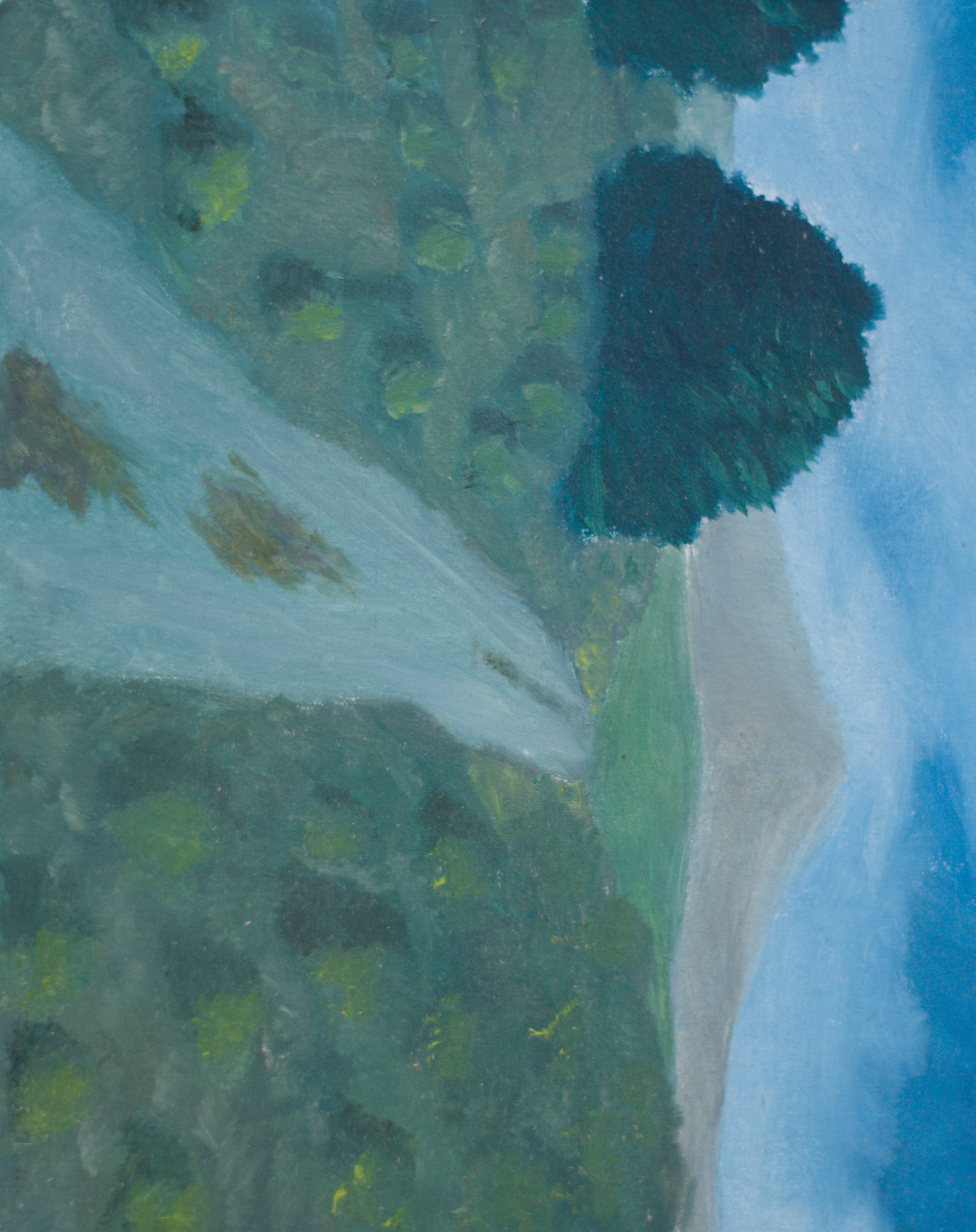 View of Rattlesnake Mountain